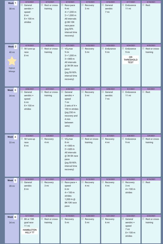 Nutrition and Training – Vale of York Athletic Community